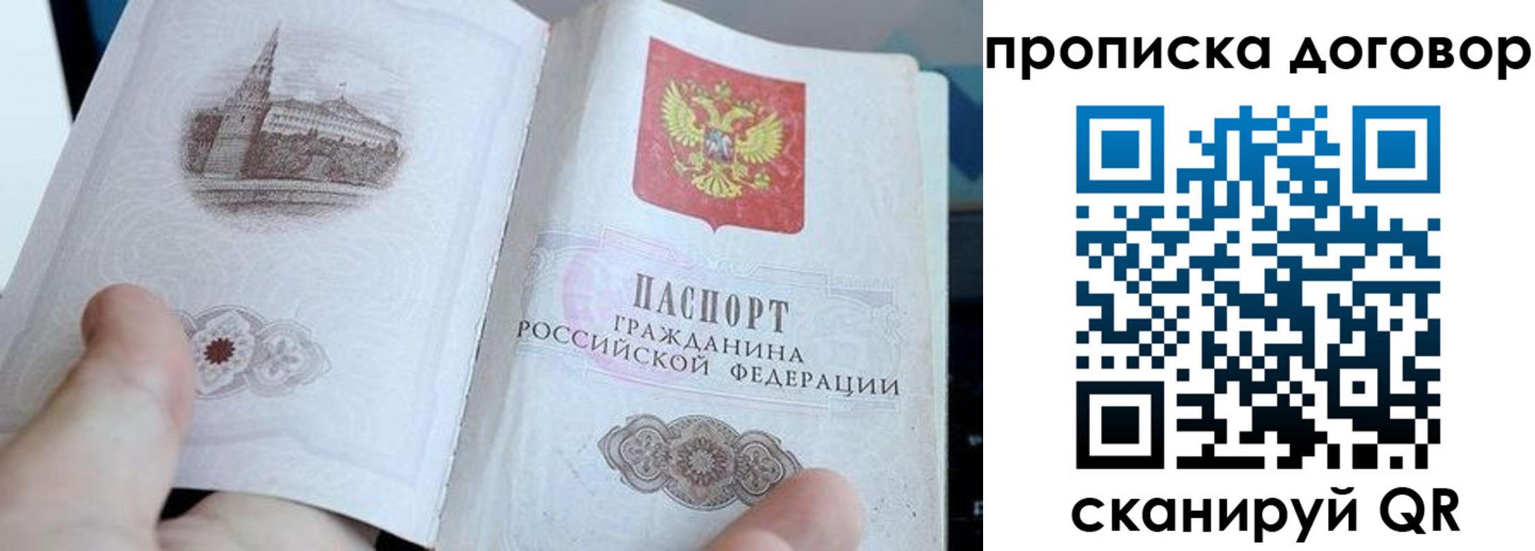 прописка в Торопеце